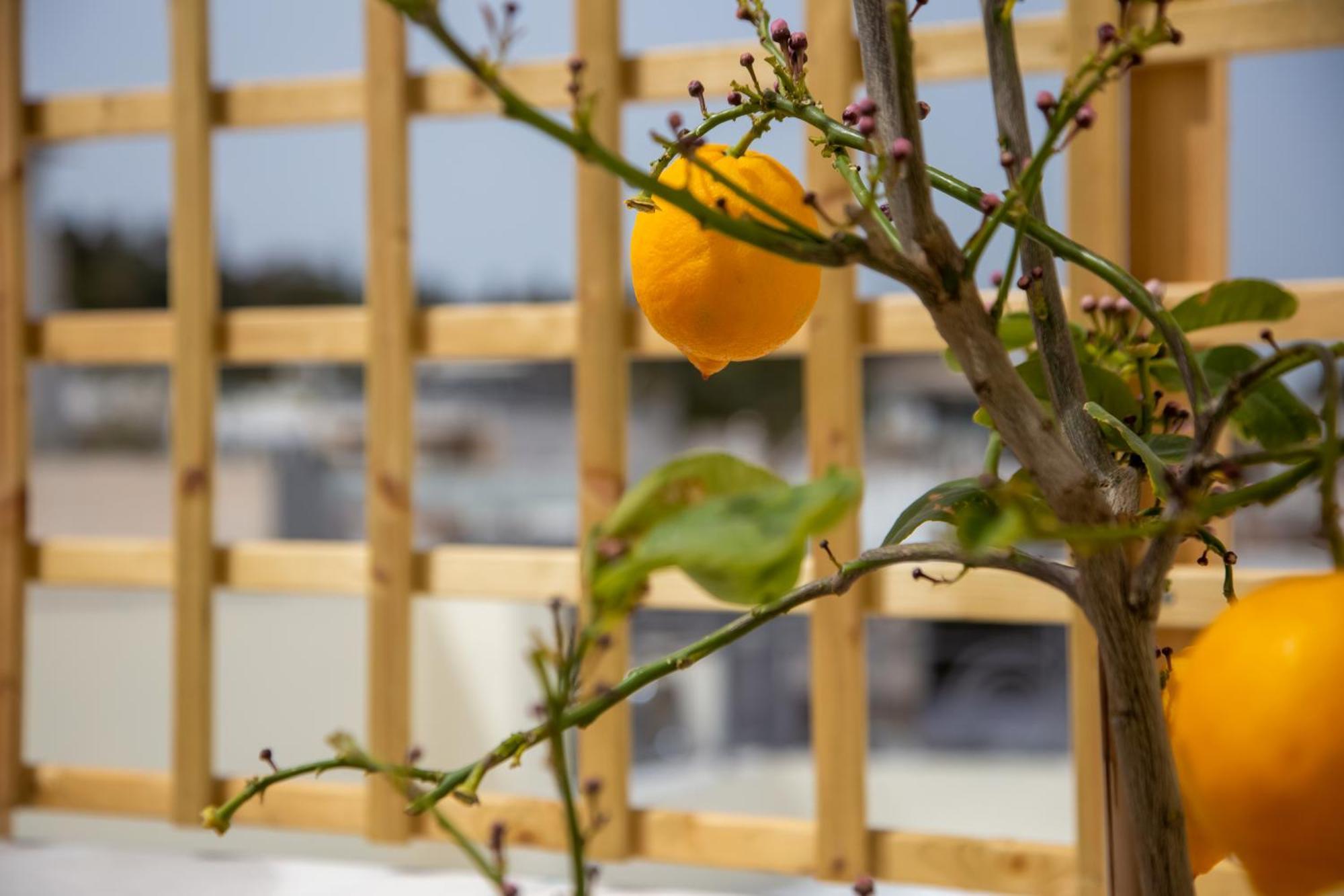 Thalia By Heloni Apartments Atenas Exterior foto